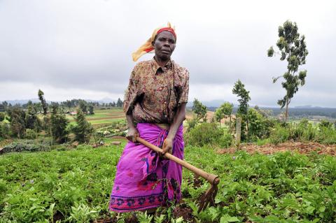 Woman farmer in Kenya