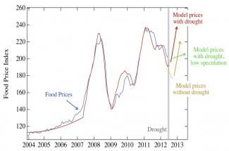 speculation and prices
