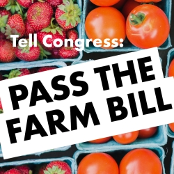 Tell Congress: Pass the Farm Bill