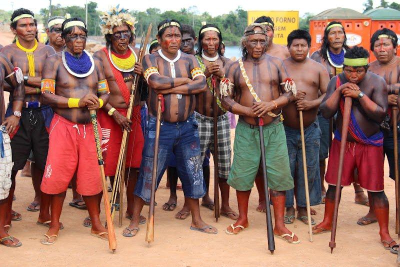 Brazil: Stand in solidarity with indigenous people | Maryknoll Office ...