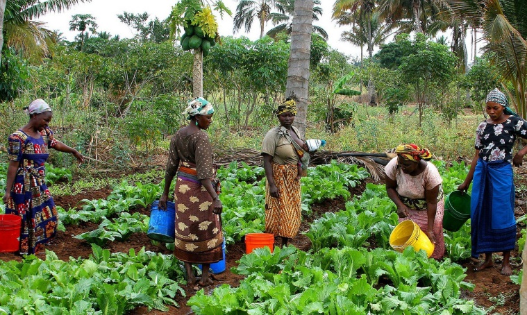 Women farmers in Tanzania
