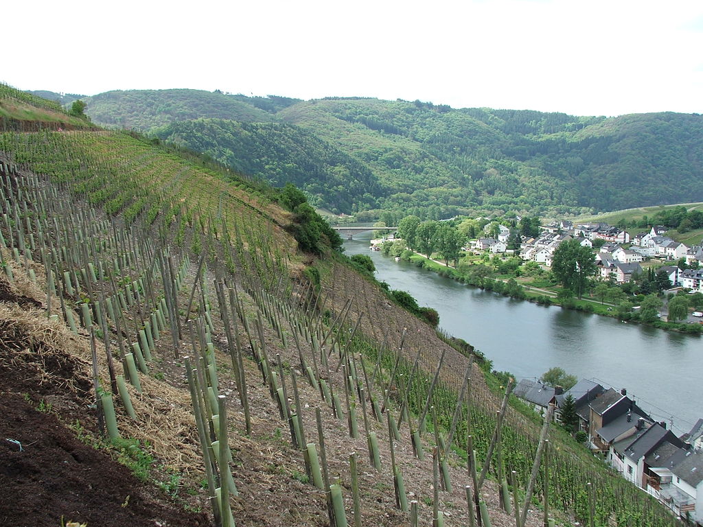 Cambodia_zell_mosel
