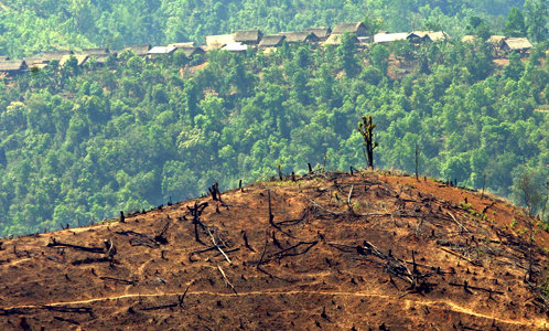 Deforestation_in_Burma-creative-commons