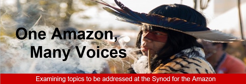 One Amazon Many Voices logo