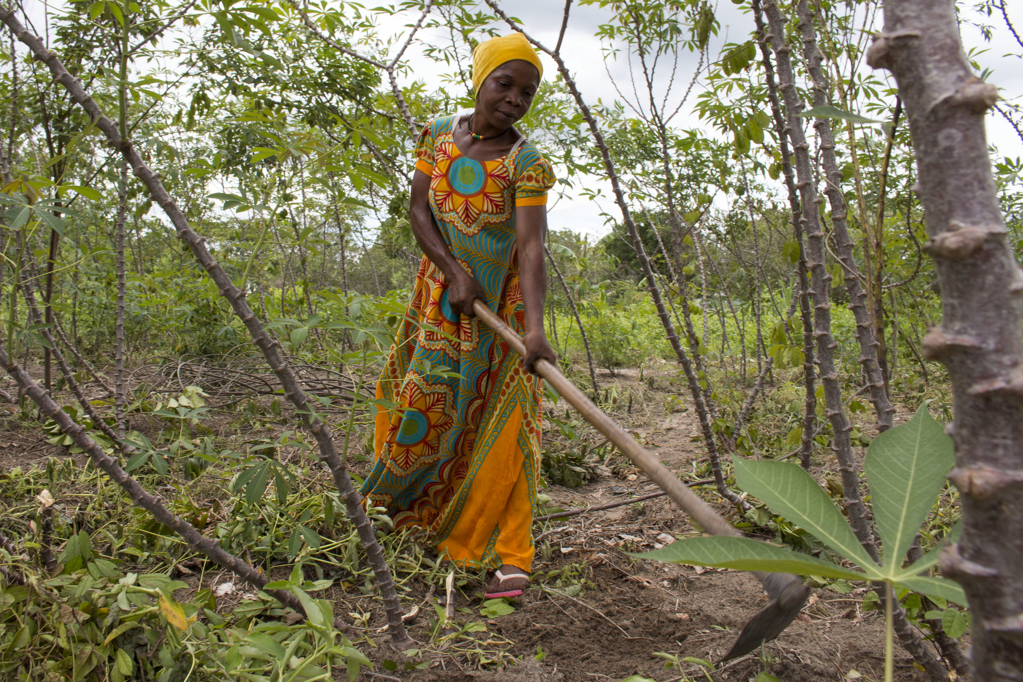 Tanzania farmer