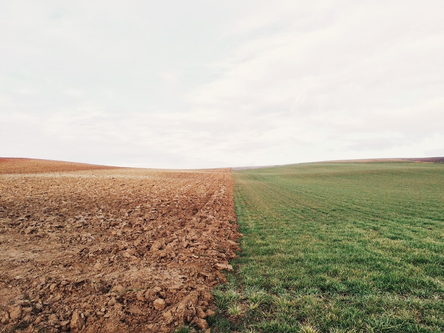 climatechangeagriculture
