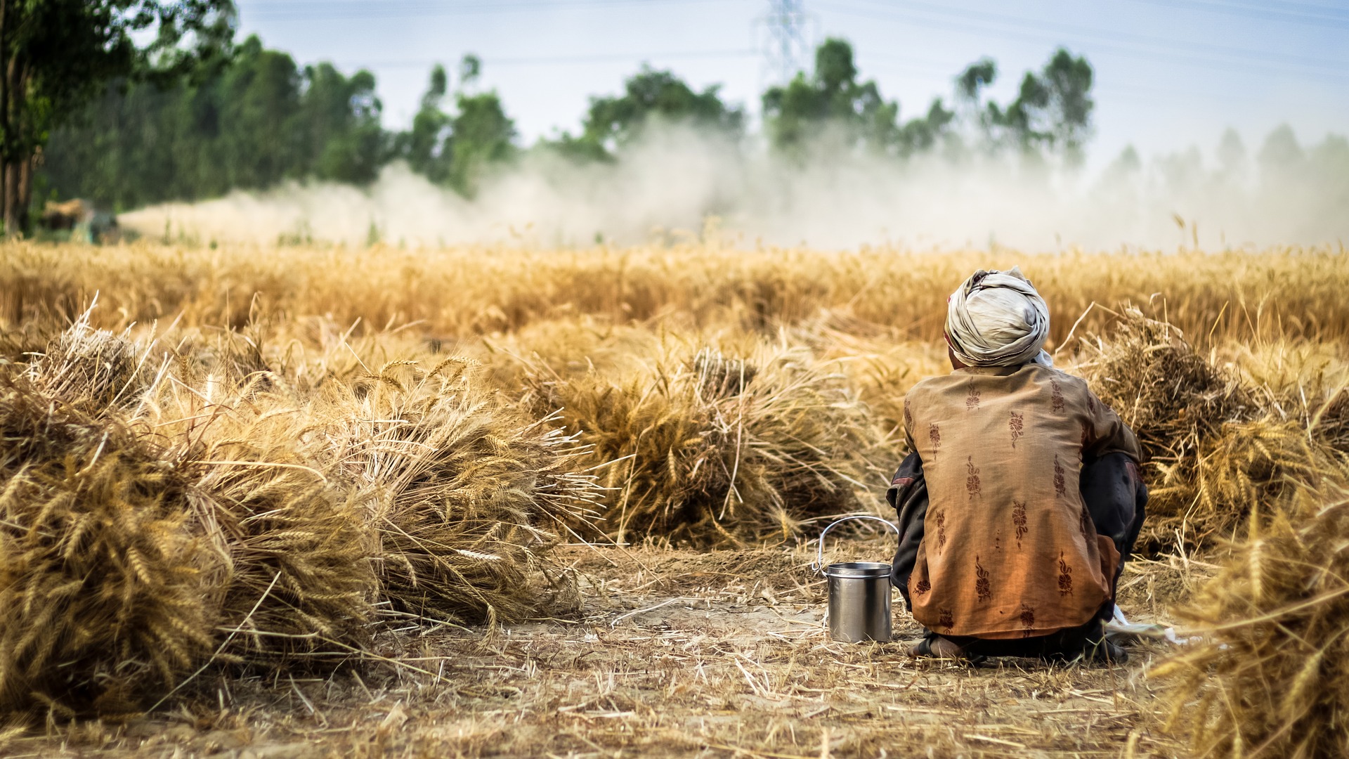 farmer-2260636_1920