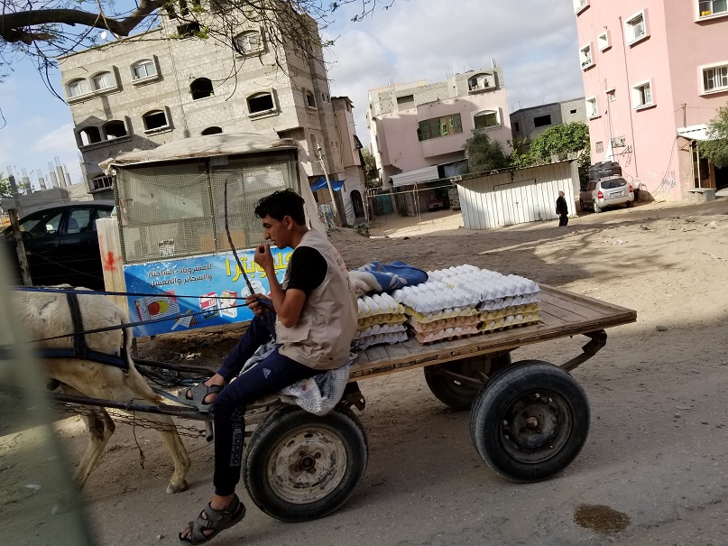 gaza_cropped