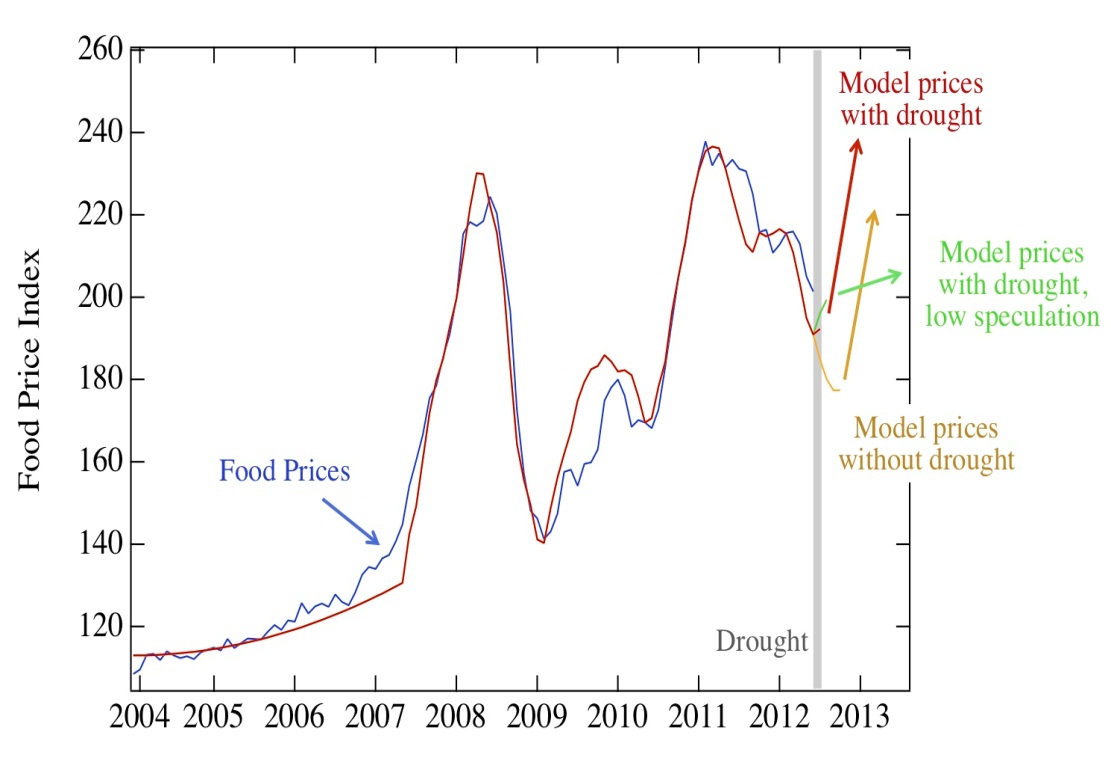 speculation and prices