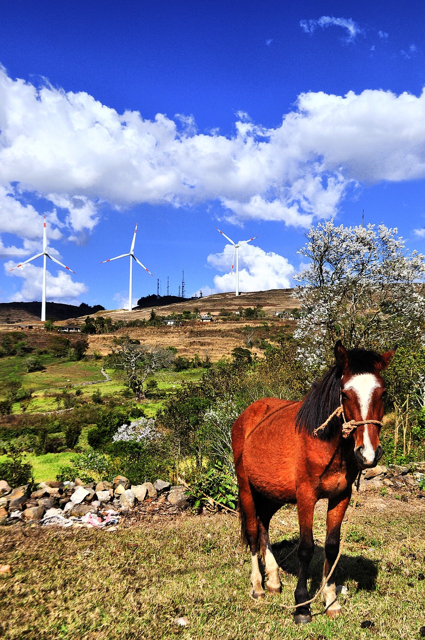 landscape-773154_1280