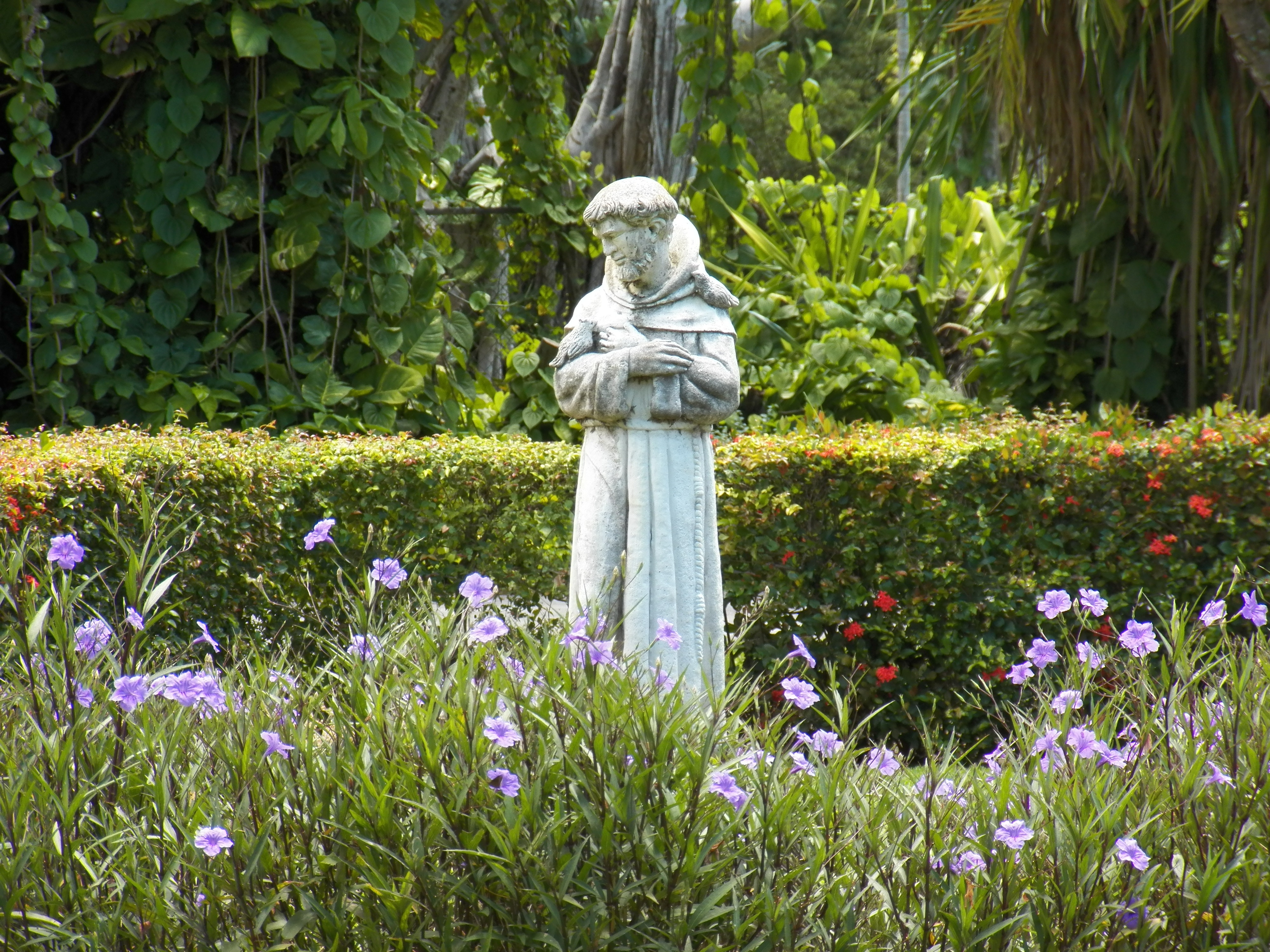 st-francis-373549