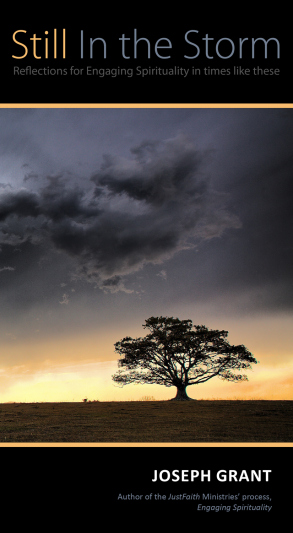 still-in-the-storm-book-cover-1