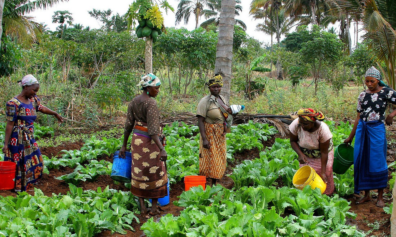 tanzaniawomenpixabaypublicdomain