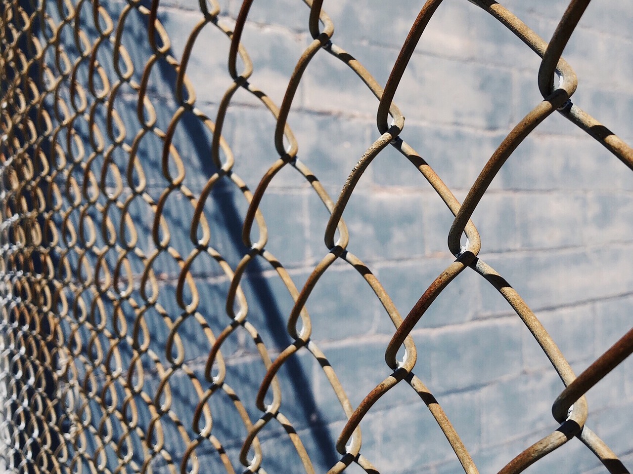 fence