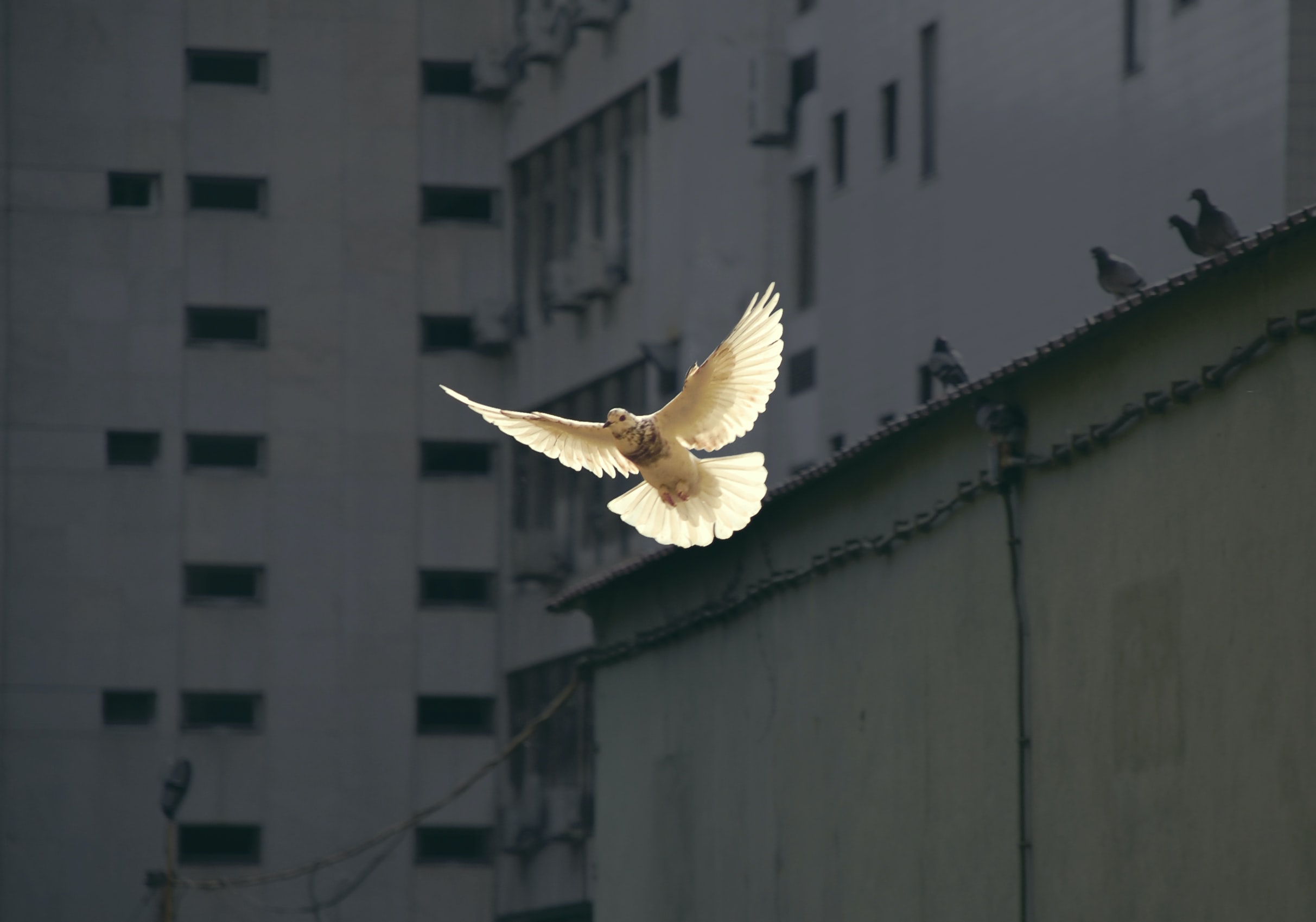 sunguk-kim-jhqbxsoruxa-unsplash_1