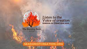 season_of_creation_2022