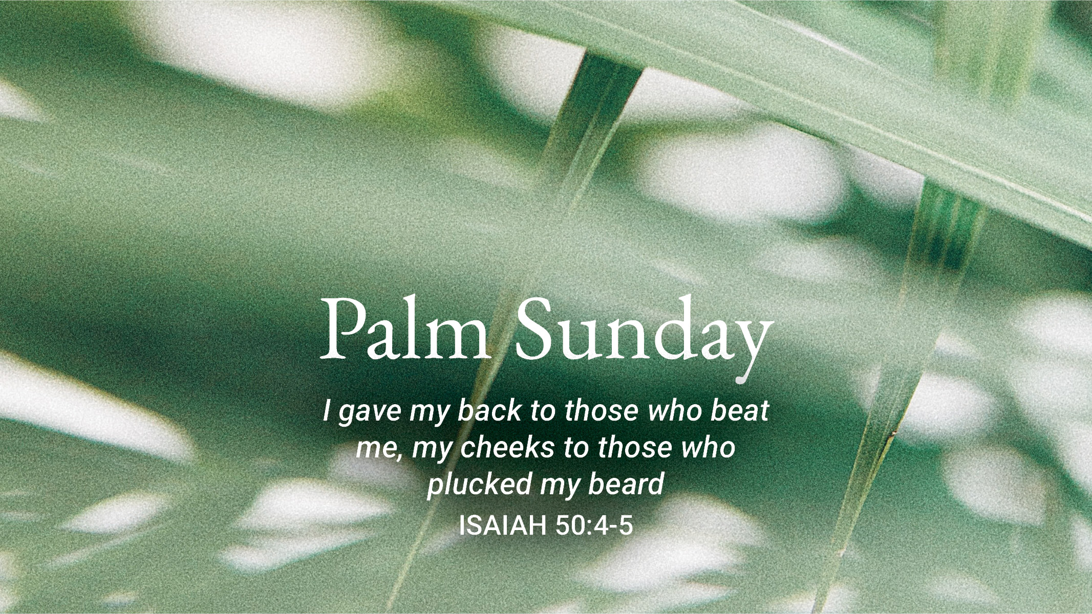 palm_sunday