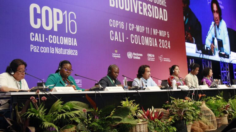 UN Biodiversity Conference Lets Indigenous Lead