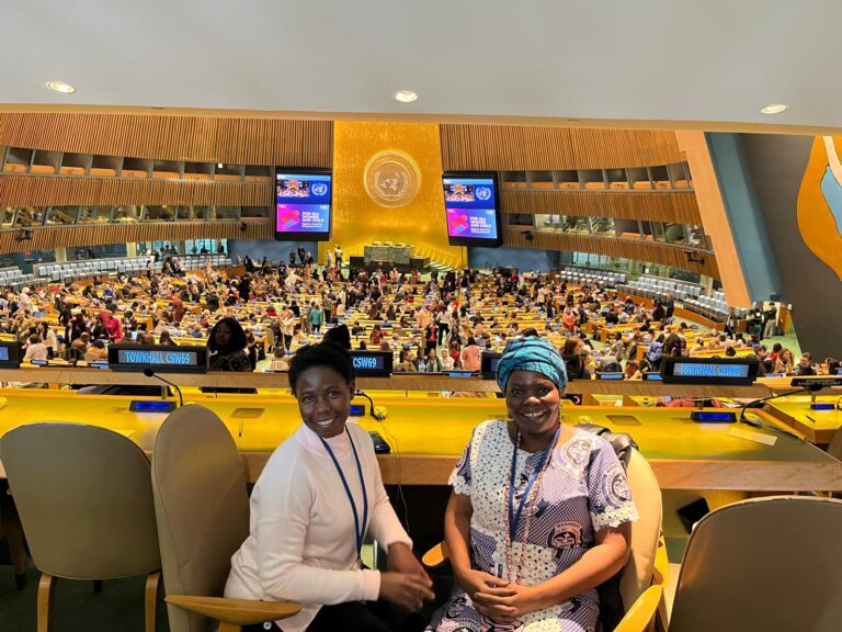 UN: 69th Session of the Commission on the Status of Women