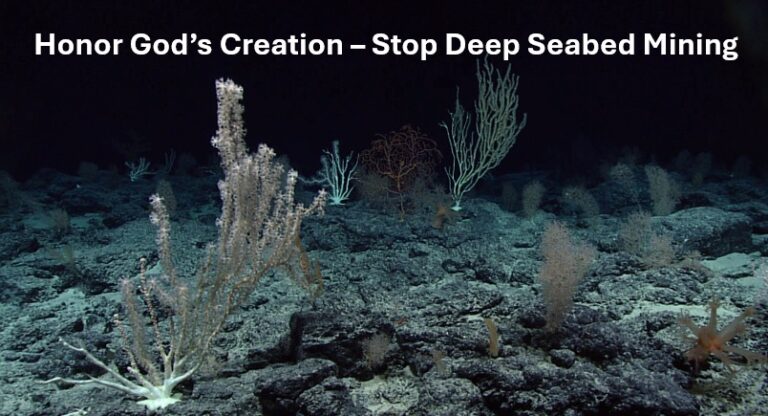 Stop Deep Seabed Mining